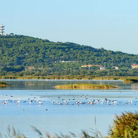 Port La Roquille-2 By Interhome Appartement *